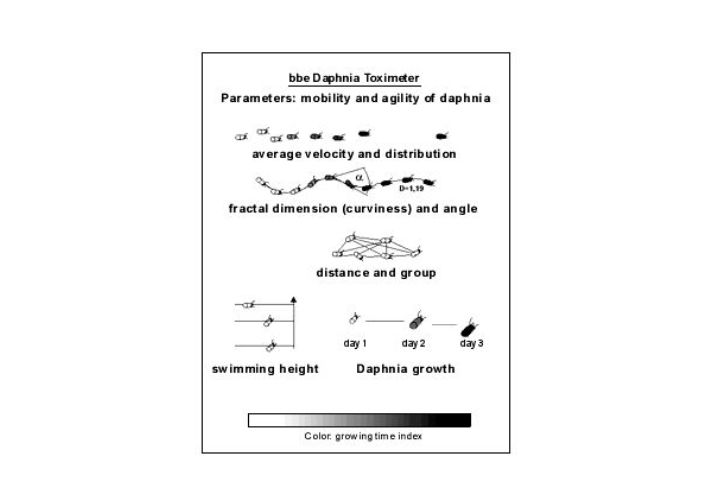 Measurement parameters of the daphnia