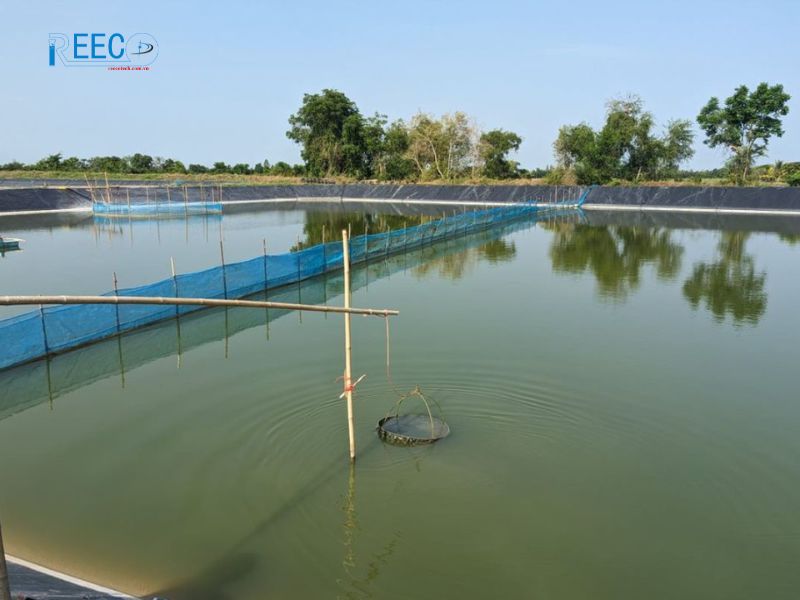 2 Phương pháp đo độ đục, độ trong của nước trong nuôi trồng thủy sản