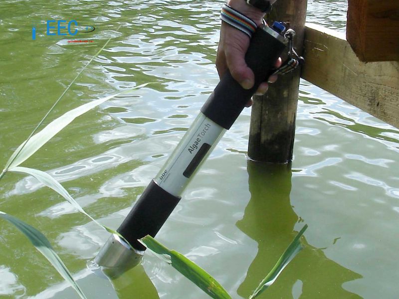 Thiết bị đo tổng lượng các loại tảo và hàm lượng tảo lam hiện trường - AlgaeTorch