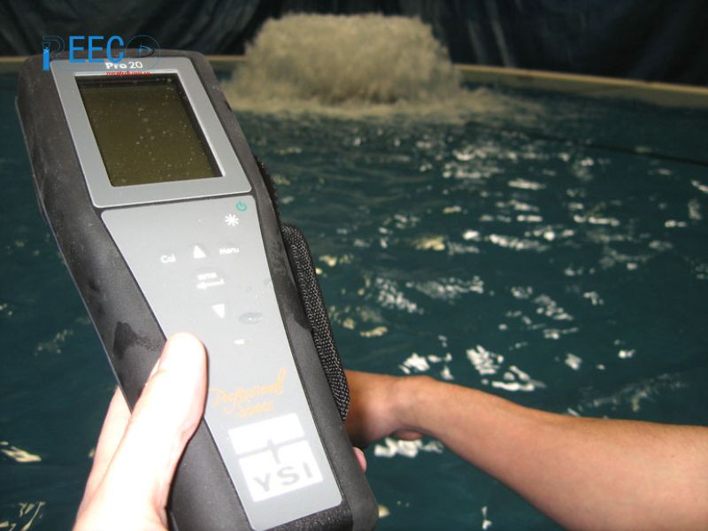 Thiết bị đo oxy hòa tan YSI Pro20