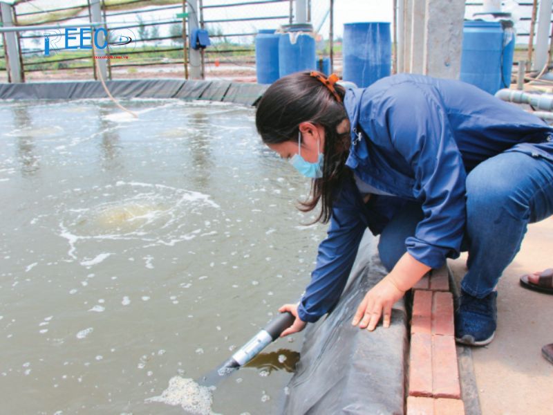 Xử lý nguồn nước trong nuôi trồng thủy sản
