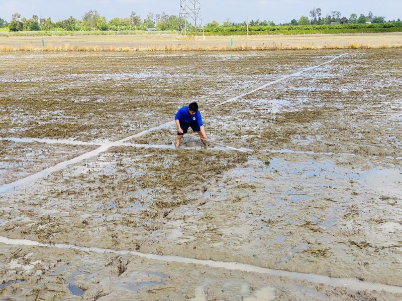 Xâm nhập mặn ở ĐBSCL đã gây thiệt hại hàng ngàn tỉ đồng