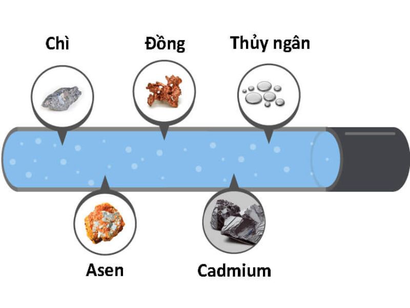 Chỉ số LC50